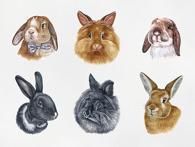 Watercolor illustration set bunny and rabbit animal bunny cute draw drawing funny illustration pet pets rabbit watercolor watercolor art