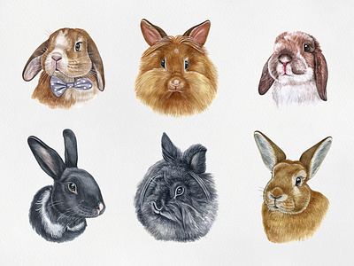 Watercolor illustration set bunny and rabbit