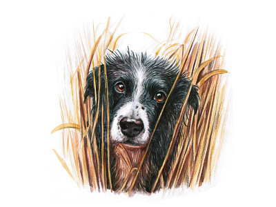 Dog in the grass animal cute cute art dog dog illustration doggy dogs draw drawing drawings eyes grass illustration pet pets puppy watercolor watercolor art watercolour