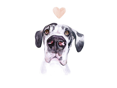 Watercolor Great Dane Dog animal dog draw drawing fun illustration pet puppy watercolor watercolor art