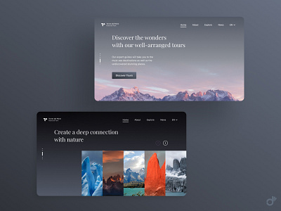 Torres del Paine 2 landing page design landscape scenery tourism website travel website ui design ux ux design web design