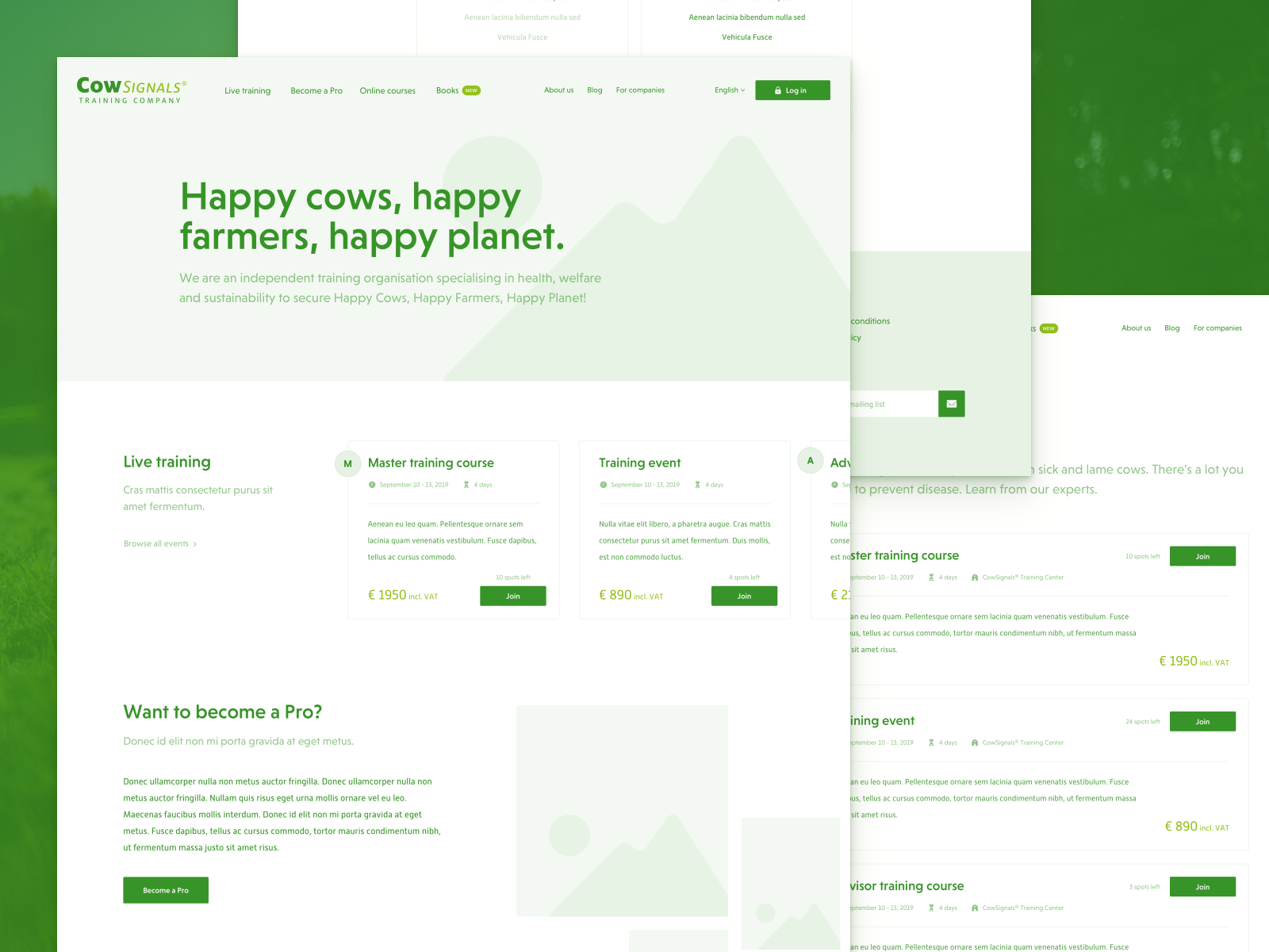 Educational platform - Wireframes Educational platform - Wireframes