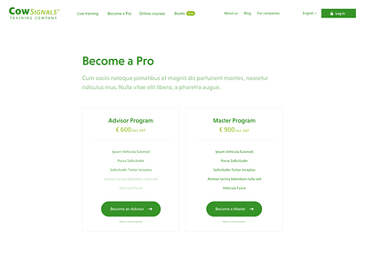 educational-platform-become-a-pro-wireframe@2x.png