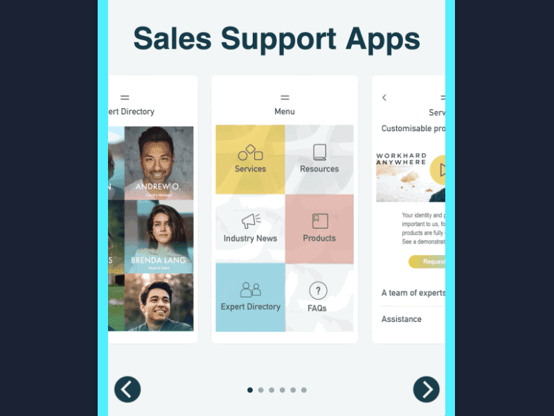 Sales Support and Business Development App Template for Fliplet