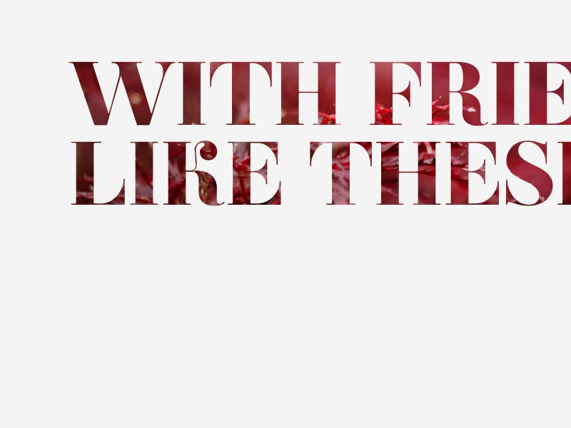 With Frie Like Thes title typography serif ambroise-std