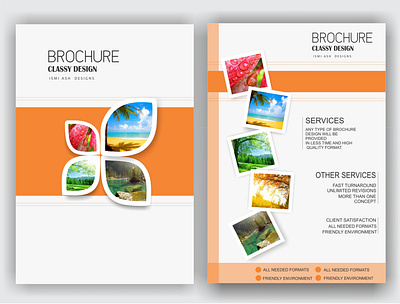 BROCHURE branding clean illustration vector