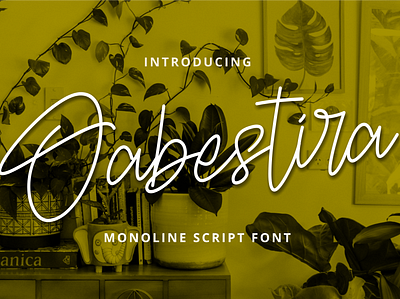 Oabestira Font branding font fonts illustration logo poster typeface typography