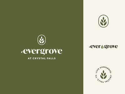 Evergrove Brand adobe badge botanic brand branding emblem floral flower identity illustrator logo logo lounge organic vector wordmark