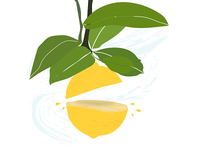 Lemon slice drawing dribbble best shot fresh illustration lemon logo design slice summer vector