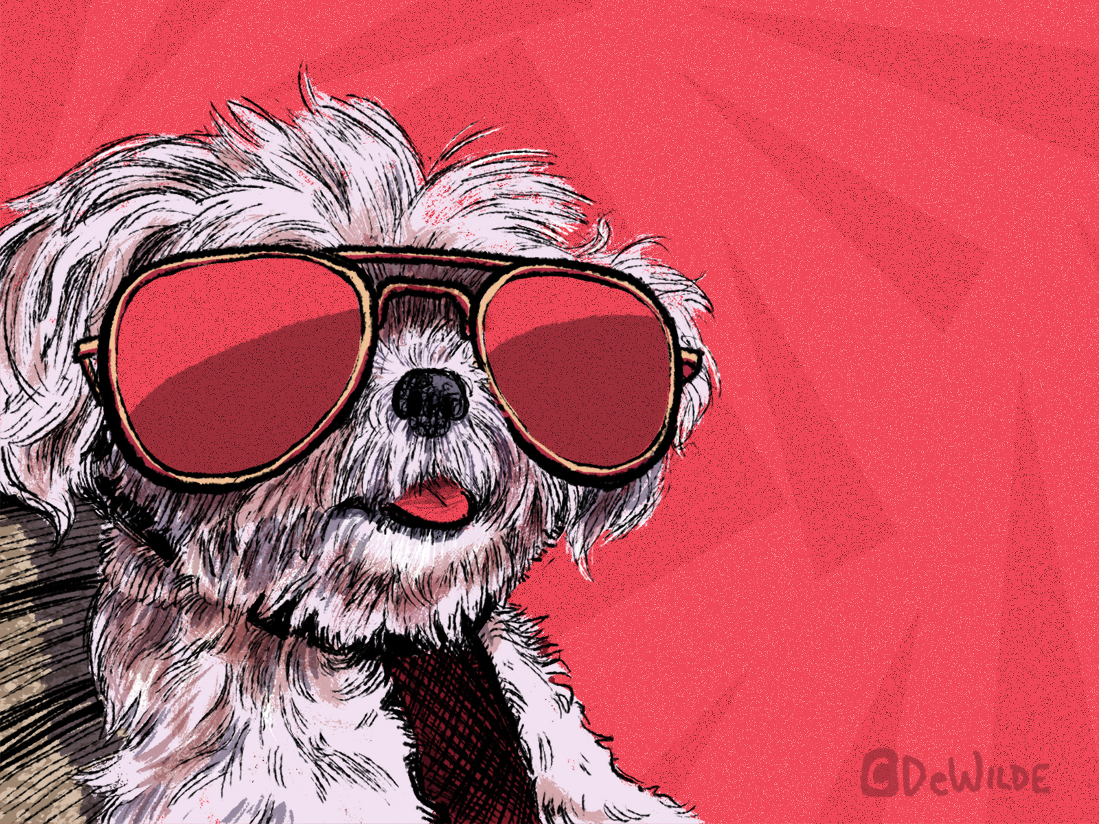 shih tzu goggles