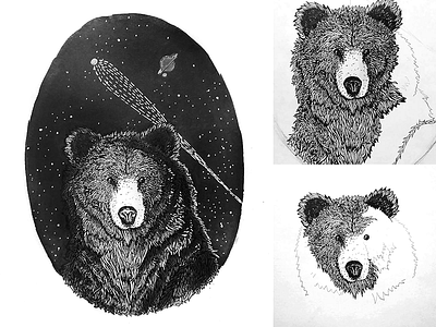 The cosmonaut bear bear comet cosmonaut space