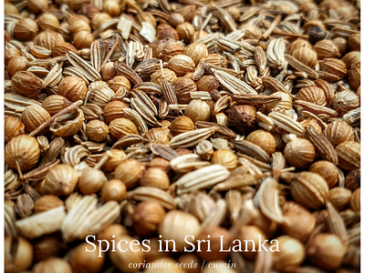Spices in Sri Lanka