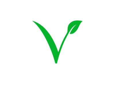 V logo branding identity logo