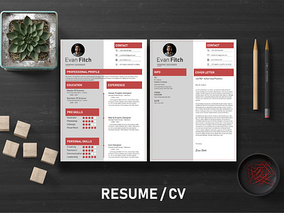 Clean Resume Templates