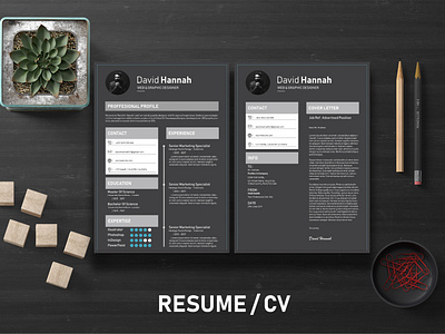 Resume / CV a4 clean cv design elegant elegant resume infographic letter male male resume minimalist modern modern resume portfolio professional resume resume clean resume cv resume design resume infographic