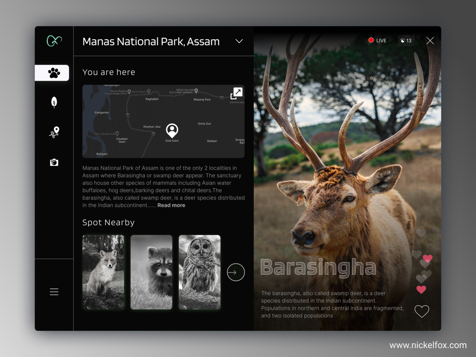 Wildlife 🦌 animals darkmode deer design freebie green live map nationalpark nature owl plants screen tab travel ui ux wildlife