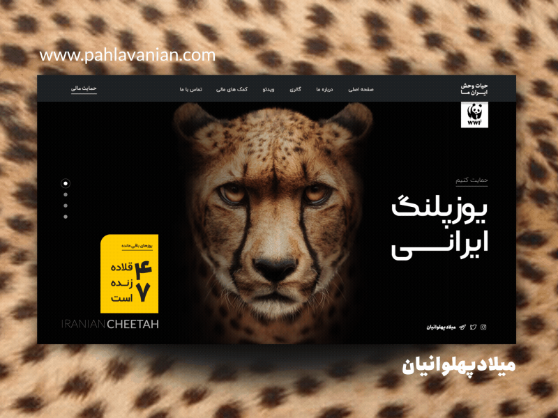 Iranian Cheetah ( RTL + LTR ) cheetah design farsi persian rlt ui ui design ui designer user interface website design wildlife