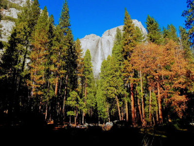 yosemite