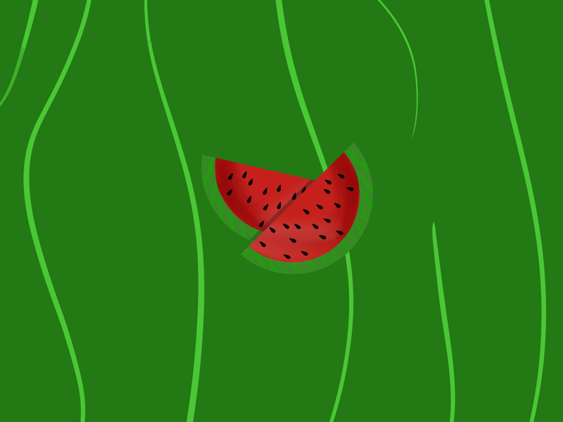 Watermelons fruity design illustration green fresh fruit watermelon