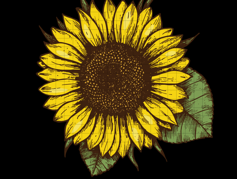 Sunflower svg, png design by me by criske bankat on Dribbble