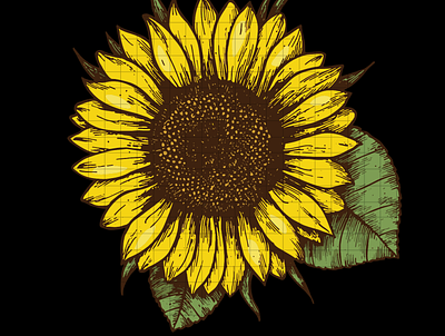 Sunflower svg, png design by me design illustration logo vector