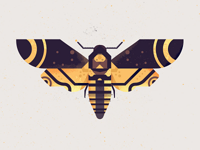 Moth geometric illustration illustrator moth photoshop simple yellow