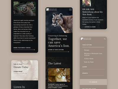 Mountain Lion Foundation - Mobile activism design graphic design mobile mountain lion responsive web design website wordpress