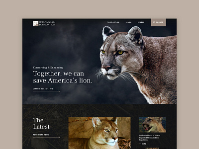 Mountain Lion Foundation activism design graphic design mountain lion nonprofit protection web design wordpress