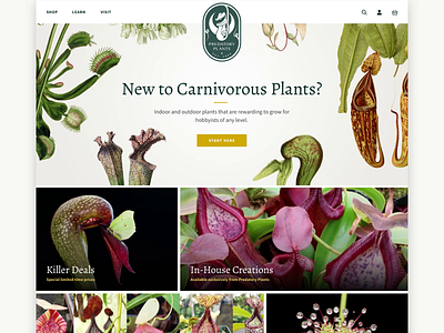 Predatory Plants - Homepage branding ecommerce logo plants shopify web design website