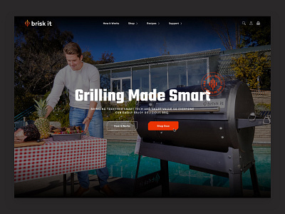 Brisk It ecommerce grill grilling shopify web design web development website