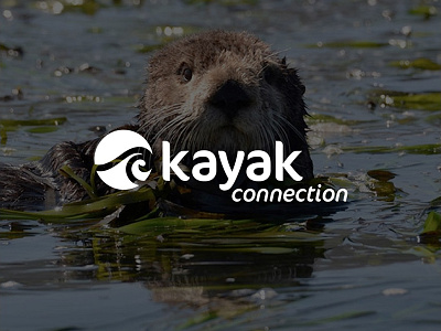 Kayak Connection Web Design + Logo ecommerce logo design rebranding typography web design wordpress