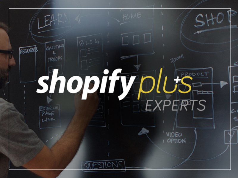 Home - Expert WordPress, Shopify