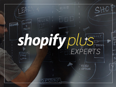 Shopify Plus Expert Developer