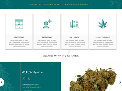 Cannabis Website and Icons cannabis da kind bro dispensary iconography icons illustration marijuana website