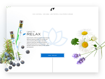 Dr. Delights - Relax chamomile design floating graphic design juniper lavender marijuana natural relax ui vape web design weed