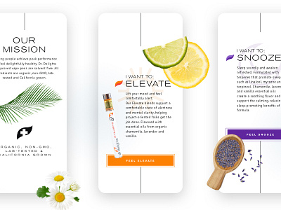Dr. Delights - Mobile citrus design elevate graphic design lavender marijuana mobile responsive snooze ui web design website weed