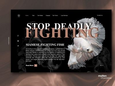 Betta Fish online guide - UX/UI Concept Page Design design illustration photoshop ui ux website website design