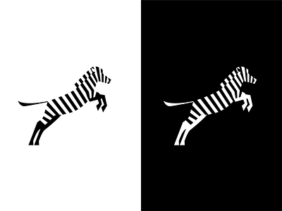 Zebra | Black vs. White
