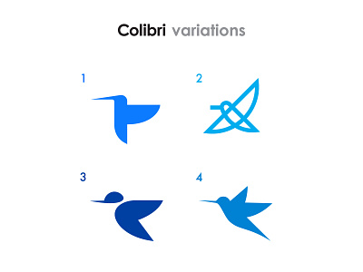 Colibri Bird Logo Variations branding graphicdesign icon illustration illustrator lettermark logo logodesign logodesigner logomark logotype monogram