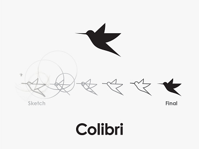 Colibri Logo Sketch to Digital Evolution