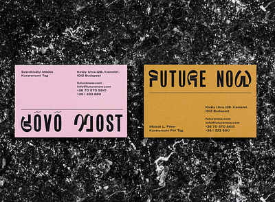 Future Now - Deisgn Confrence brand design identity typography