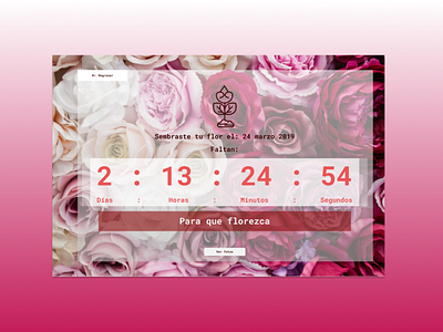 Daily UI - Countdown timer countdown interface pink red roses ui ui design uidesign