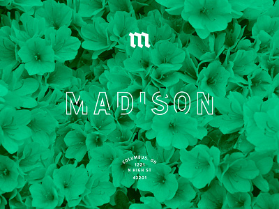 Madison-USA adidas boutique brand gibson green kicks logo madison nico nike sneakers swag