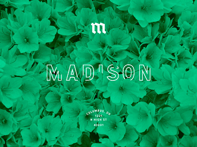 Madison-USA