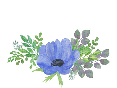 anemone composition