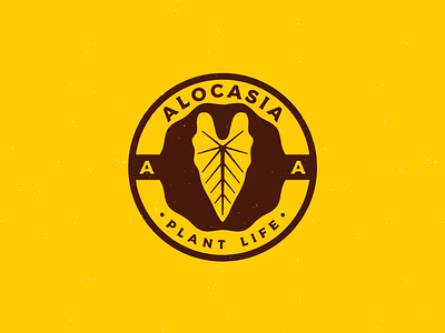 Alocasia branding design flat icon identity illustrator logo minimal typography vector