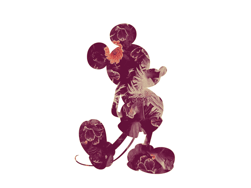 Mickey Distort 3 animation disney distort distortion floral mickey mouse stretch