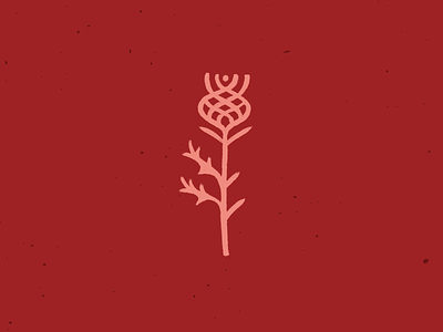 Thistle celtic design flower graphic icon illustration logo scotch scottish thistle thorns