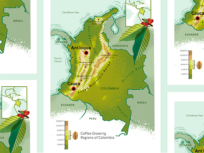 Coffee Maps for Starbucks agriculture america art cafe central coffee design illustration latin lush map mapping south topographic topography typogaphy