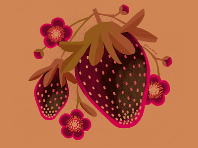 September Strawberries botanical farm graphic illustration illustrator market spot warm